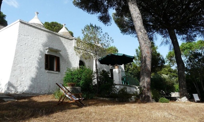 Selva di Fasano House | Selva Di Fasano: 'Trullo' with pine grove in Valle d'Itria
