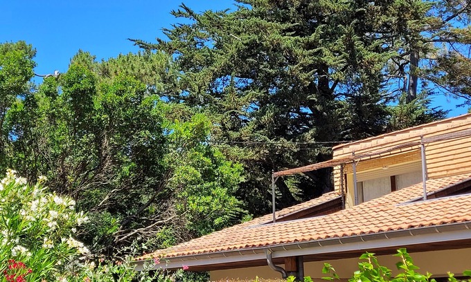 Mimizan Villa | Semi-detached house on the Courant