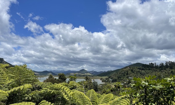 Opoutere House | Serene Opoutere Bush Haven (family and pet-friendly)