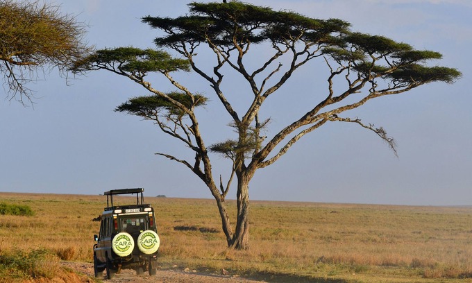 Serengeti National Park Other | Serengeti Ikoma Wild Camp
