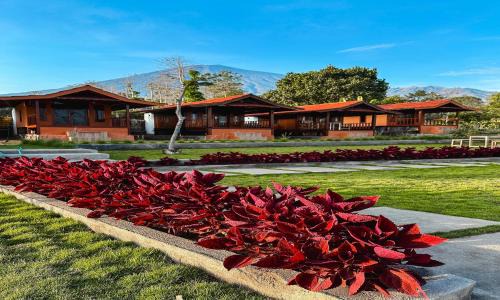 Lombok Hotel | SEROJA Villa and Camping Ground