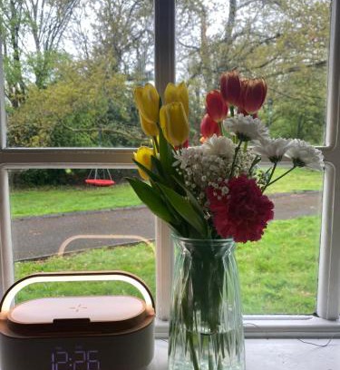 Athlone House | Shancurragh Lane Cottage