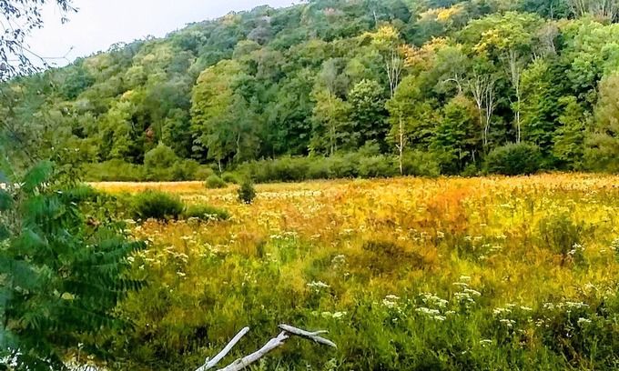 Conewango Valley RV Rental | ShineOn Valley- Back Bottom Camp