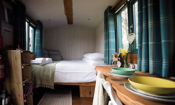 Bethania Cabin | Shire the Shepherd's Hut - Welcoming Dogs