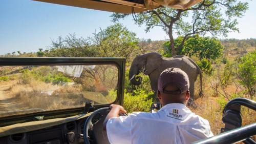 Kruger National Park Ski Chalet | Shishangeni Lodge In Kruger National Park