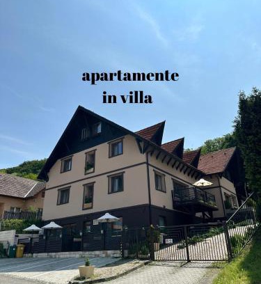 Sighisoara Apartment | Silvan Villa - Apart