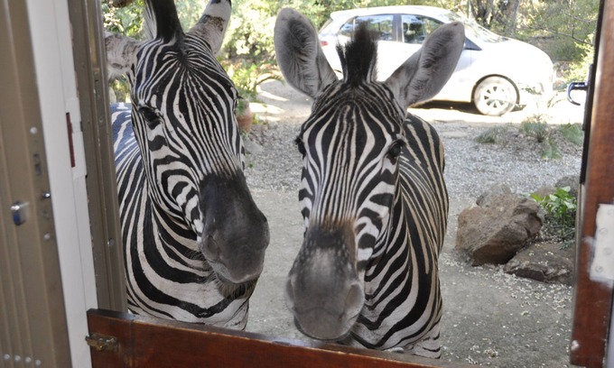 Marloth Park House | Simple Solar system in home with 3 bedroom, self catering home . Free WiFi.