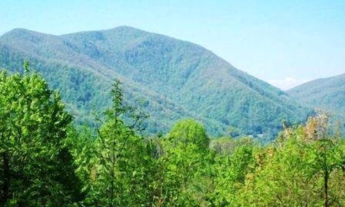 Cataloochee Ranch House | SINGLETREE LODGE-5 BEDROOM CABIN SLEEPS 12