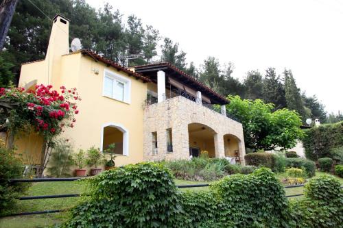 Zigos House | Six Steps From The Forest