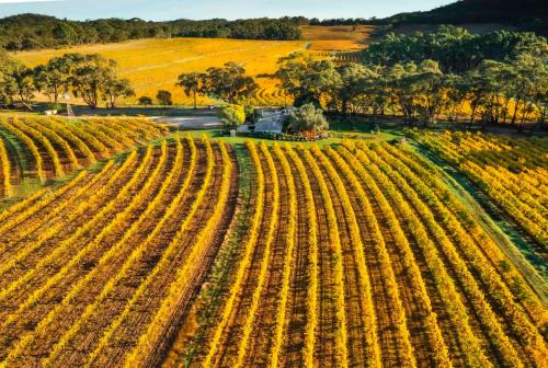 Sevenhill Bed & Breakfast | Skillogalee Estate