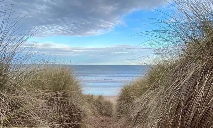 Berwick-upon-Tweed Cabin | Small Standard Wooden cabin