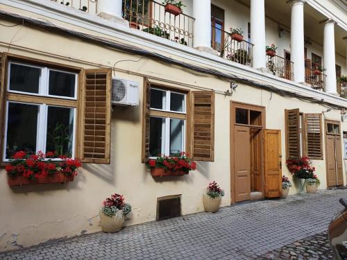 Sibiu Old Town Apartment | Smiley Central