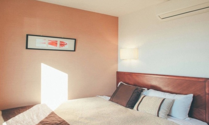 Kikugawa Hotel | SmokingSingleSDGsBreakfast includedMultiple n/Kikugawa Shizuoka