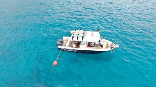 Sipura Island Resort | Solid Surf Villa Mentawai
