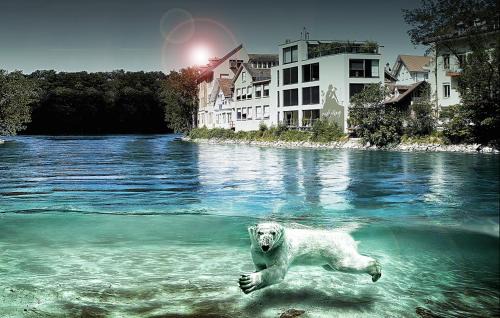 Old City of Bern Apartment | SONNEN Loft Bern - Bed & Breakfast