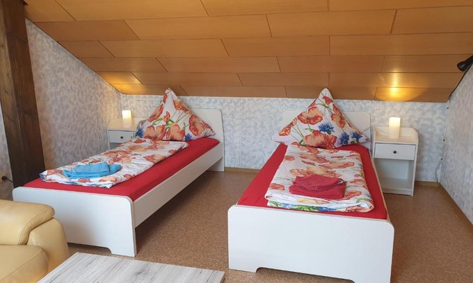 Loerrach Apartment | Sonnige ruhige Dachzimmer inkl WIFI plus Kaffee mit WG Dusche und neuer Küche