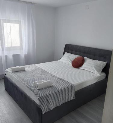 Tirgu Neamt Apartment | SorinaApartament2