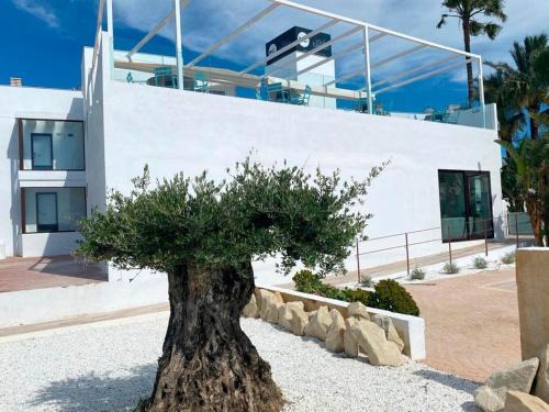 Almadrava Beach Hotel | Soul Beach Hotel By Mc - Adults Recommended