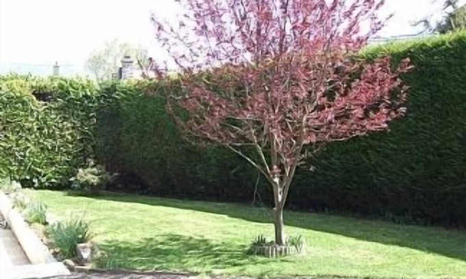 Sourdeval-les-Bois Cottage | Spacious Cottage Sleeps 5, With Well Equipped Games Room And Sunny Garden