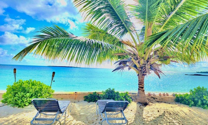 Rokers Point Cottage | Spacious Luxury Beachfront Suite