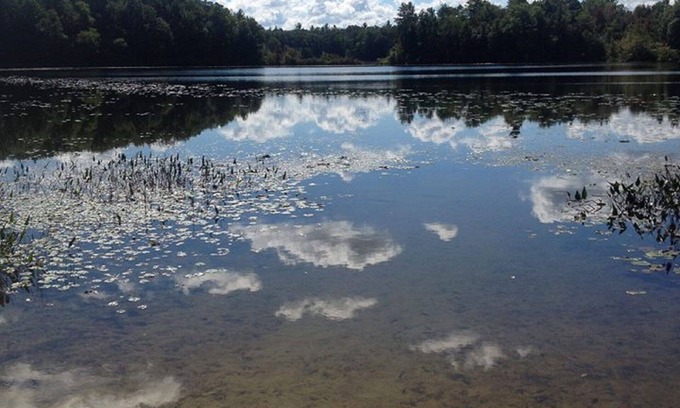 Smyrna House | Spacious, Secluded RV On Private Lake with Own Access