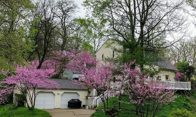 Anderson Township House | Spectacular Historic Home In The Heart Of It All!