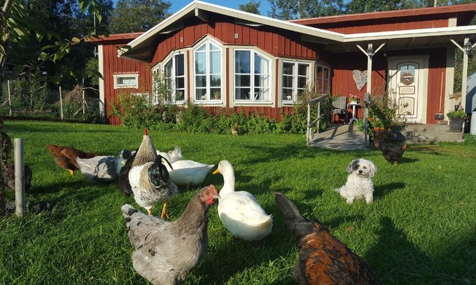 Glanshammar Villa | Spiragården