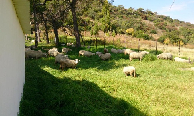 Ficksburg House | Springwater Cottages