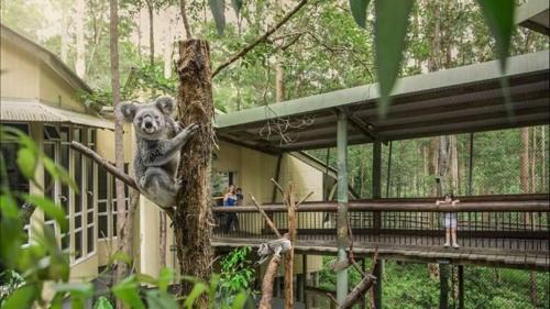 Springwood Resort | Springwood Meditation Centre 春木禪修渡假中心