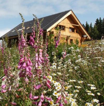 Svinna Apartment | Srub Javorná - apartmány Šumava