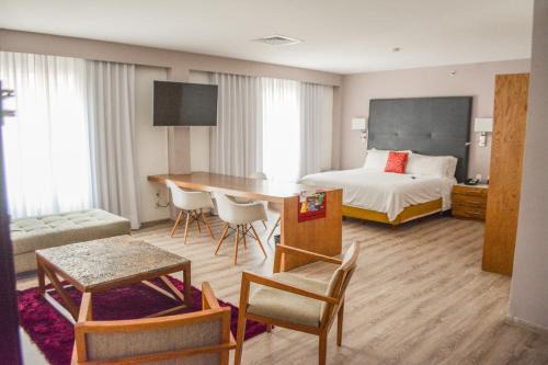 Irapuato Hotel | Stain Loft & Suites