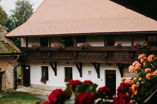 Sloupnice House | Statek Poštolka
