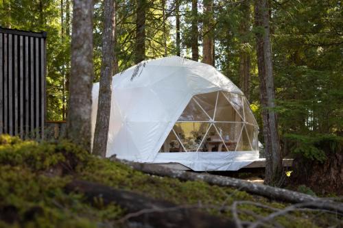 Sechelt Other | Stay Wilder Sunshine Coast