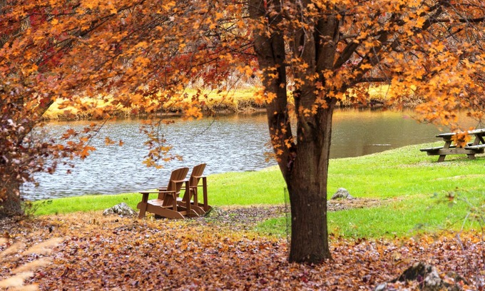 Steeles Tavern Bed & Breakfast | Steeles Tavern Manor