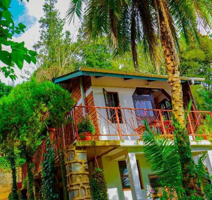 Lushoto House | Steven and Dayness homestay