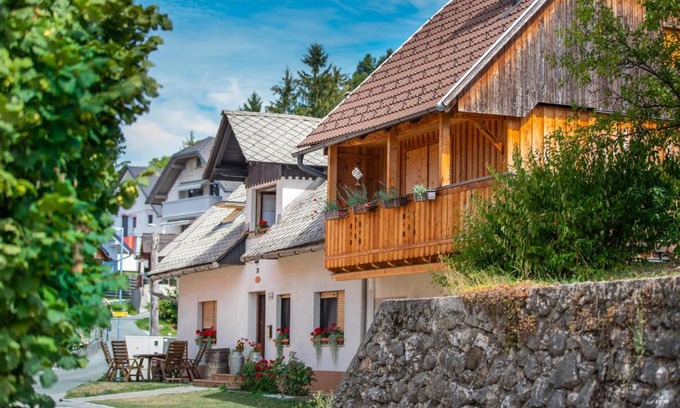 Zirovnica Apartment | Stol Apartments