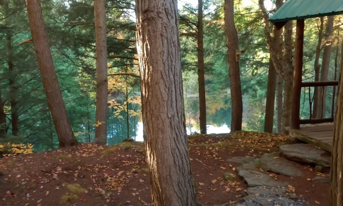 Moscow Cottage | Stowe Adventure! Private Forest & Lake, Comfortable, 5 mins to town