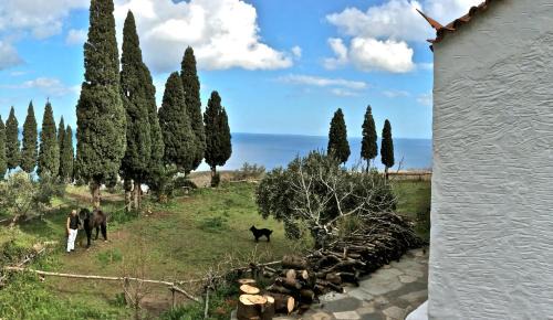 Voia House | Strongilos Homestay