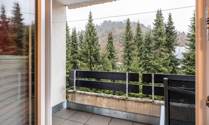 Todtmoos Apartment | Studio Apartment 'Ferienwohnung mit Charme II' with Private Terrace, Balcony and Wi-Fi