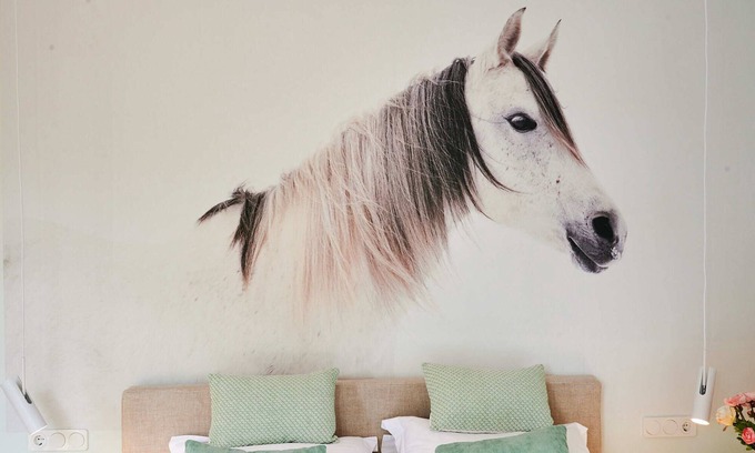 Quakenbruck Apartment | Studio apartment MIRA at the forest garden