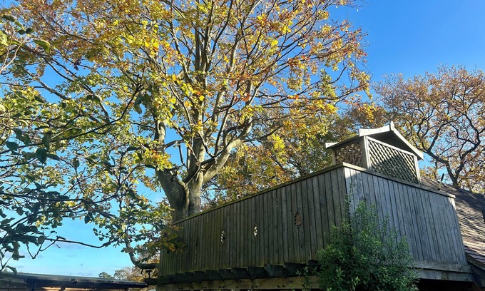 Cowbeech Apartment | Studio & balcony with tree growing through it, spiral staircase, stunning views.