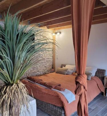 Vergeze Apartment | Studio de charme - Le Strelitzia