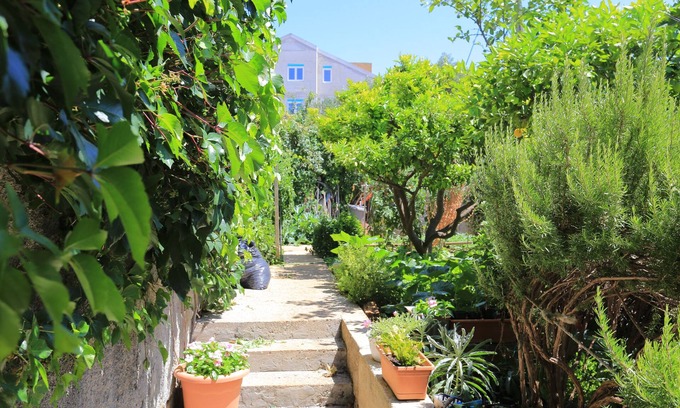 Blato Apartment | Studio flat with terrace Živogošće - Blato, Makarska (AS-1057-a)