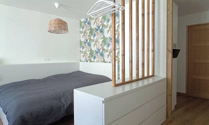 Chatillon-Sur-Loire Apartment | Studio - Le Campeur Spacieux