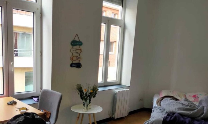 Lille-Moulins Apartment | Studio Lumineux et Confortable Lille Moulins