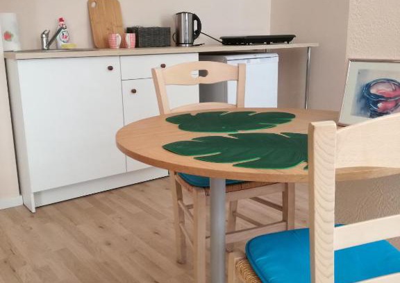 Pelgulinn Apartment | Studio Rohu