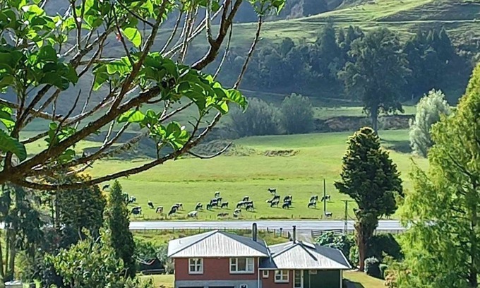 Uruti Other | Stunning country views set on seventy acres of tranquil country paradise