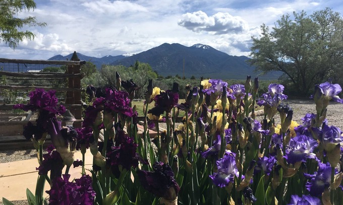 Taos Apartment | Stylish comfortable suite. Awesome Mountain Views!