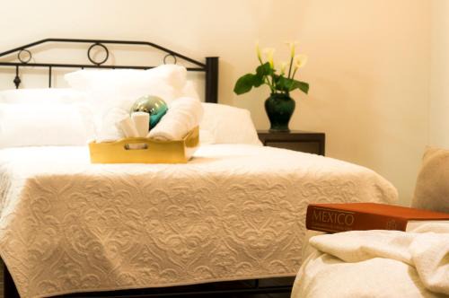 Campestre Apartment | Suite 5B, Cultura, Garden House, Welcome to San Angel