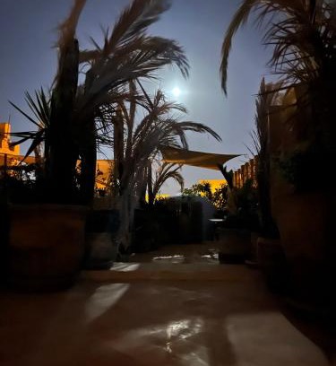 Kairouan House | Suite Printemps Ryan